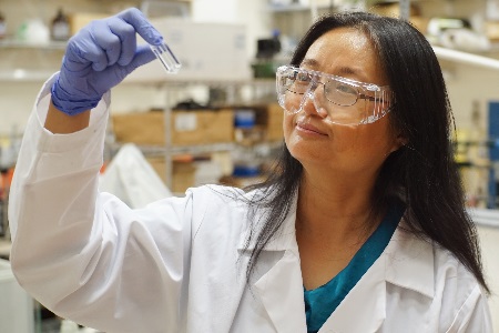 Research activity at New Mexico State University