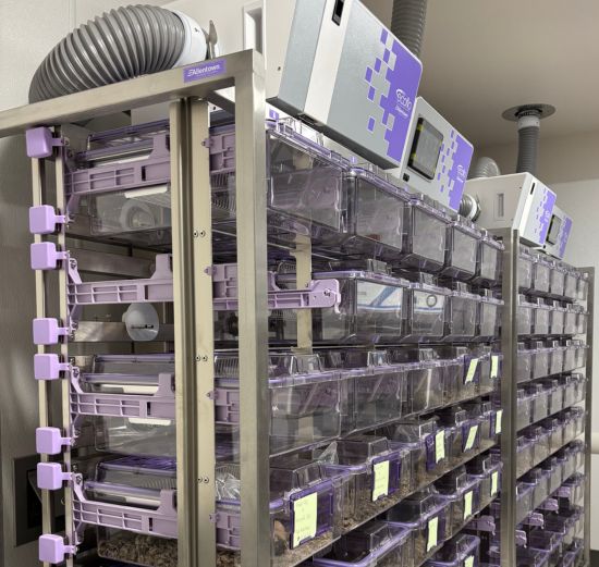 A series of transparent animal housing units stacked on a metal rack, featuring purple accents and ventilation systems, typically used in research facilities.